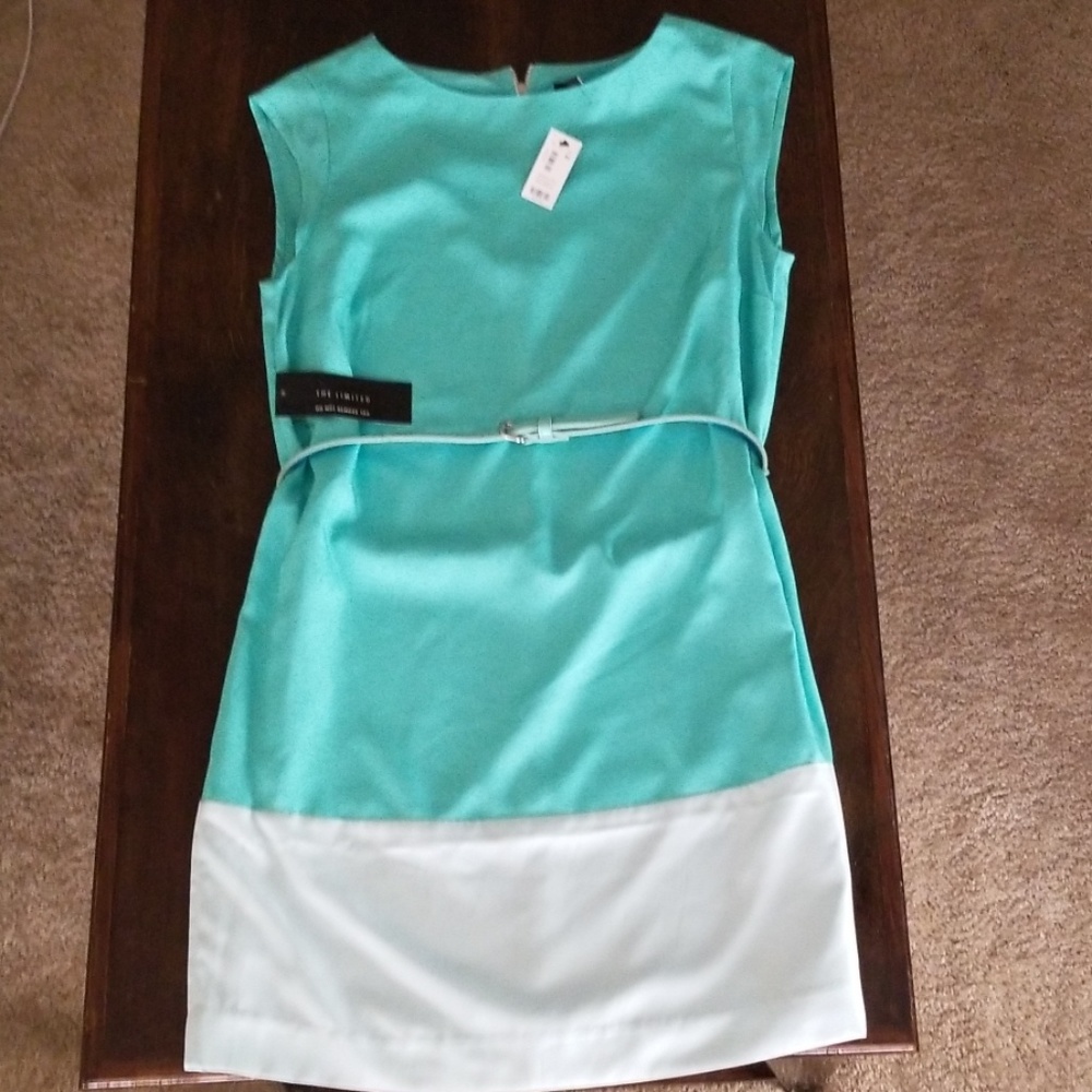 NWT Limited Size M Teal Dress